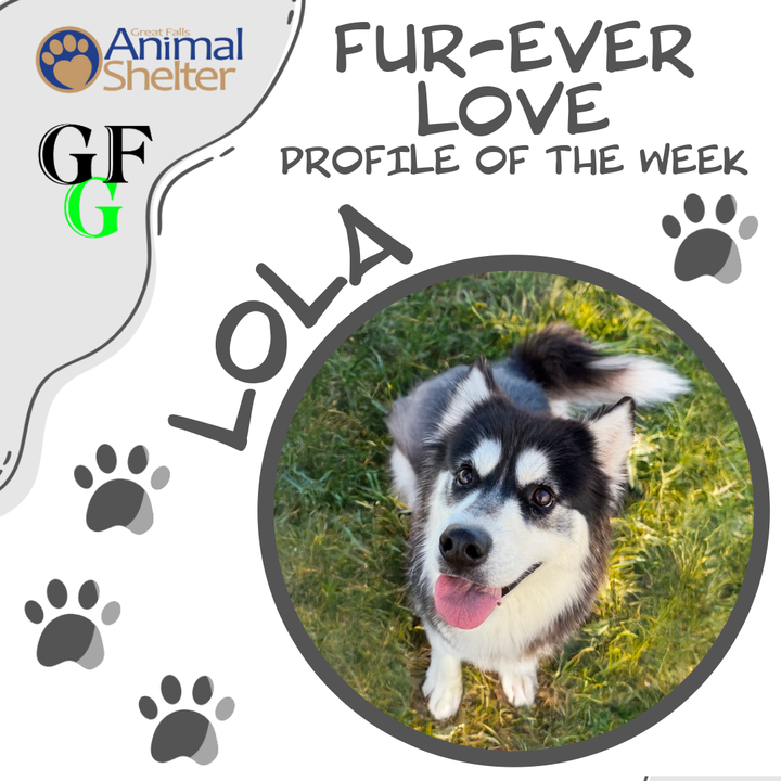 Fur-Ever Love - Lola