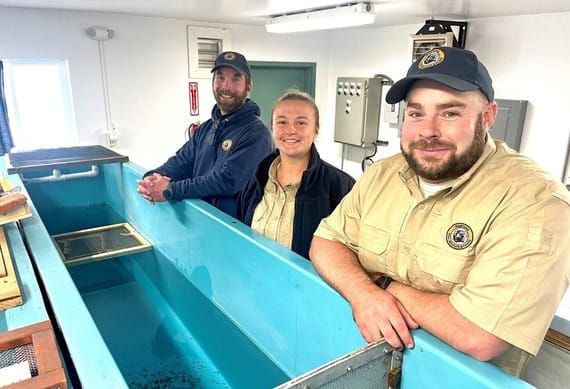 Return of the Redband Rainbow: FWP Hatchery Restarting Native Rainbow Trout Stock