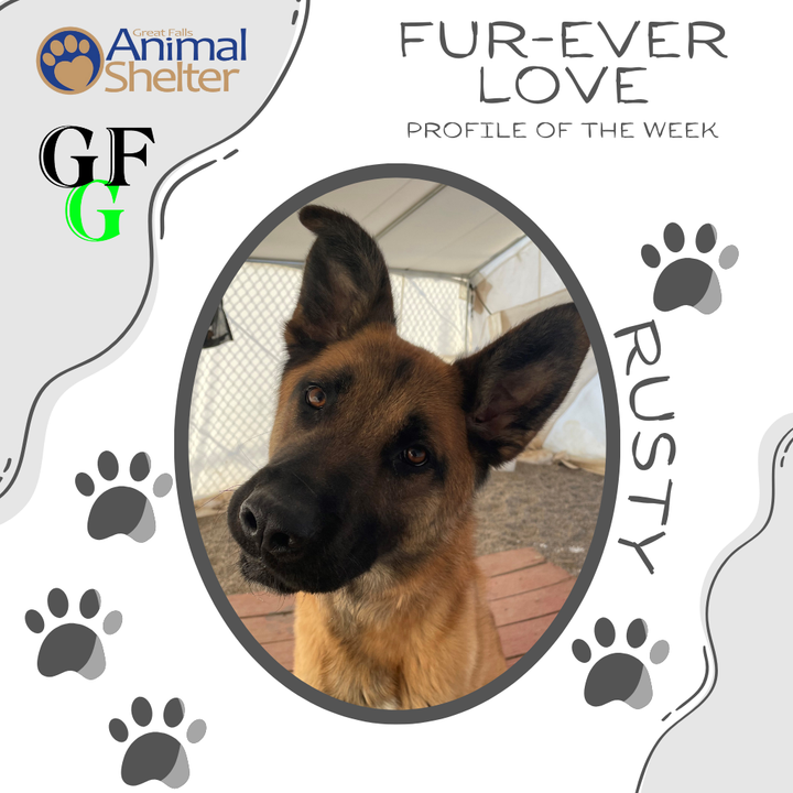 Fur-Ever Love - Rusty