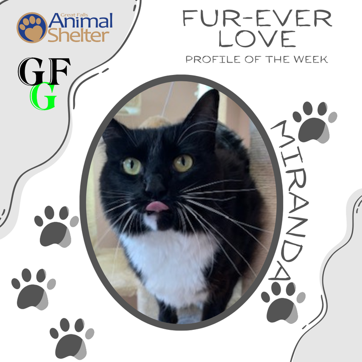 Fur-Ever Love - Miranda