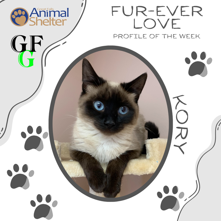 Fur-Ever Love - Kory