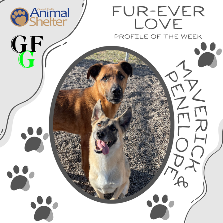 Fur-Ever Love - Maverick and Penelope