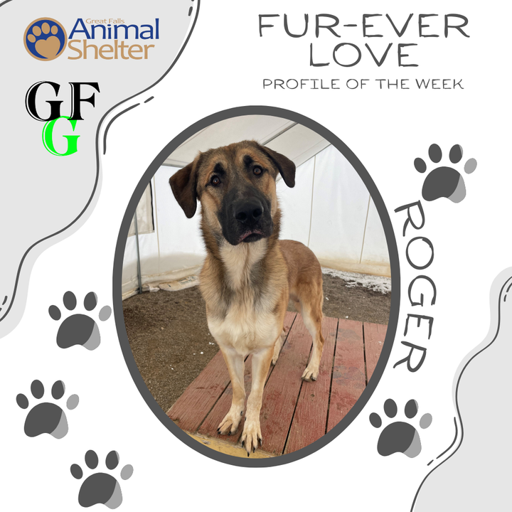 Fur-Ever Love - Roger