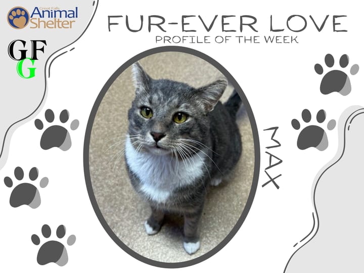 Fur-Ever Love - Max