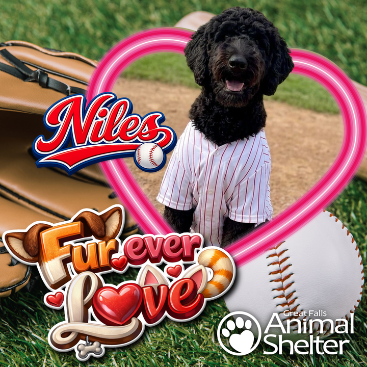 Fur-Ever Love - Niles