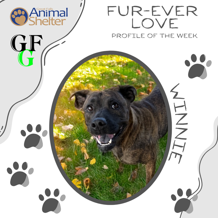 Fur-Ever Love - Winnie