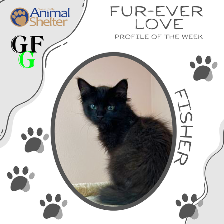 Fur-Ever Love - Fisher