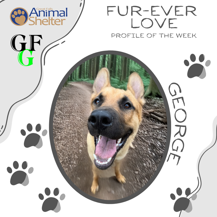 Fur-Ever Love - George