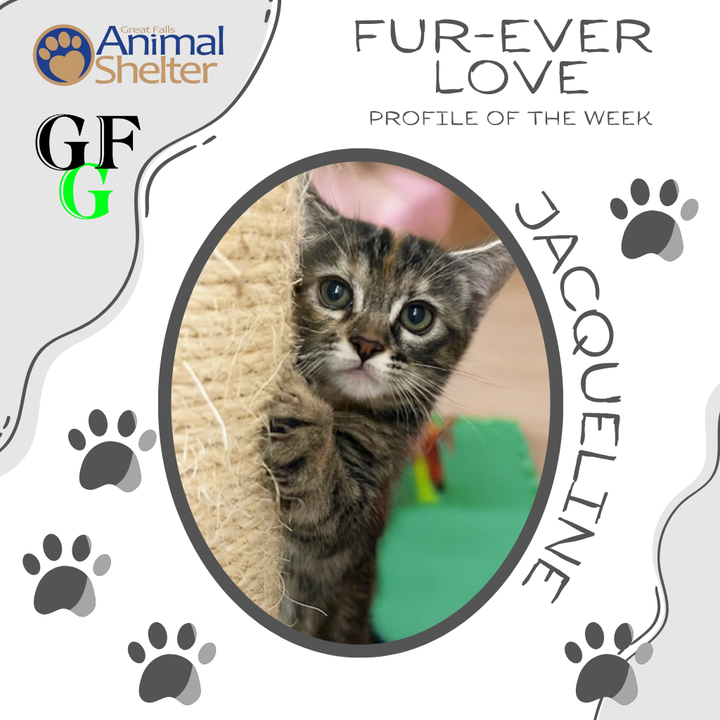 Fur-Ever Love - Jacqueline