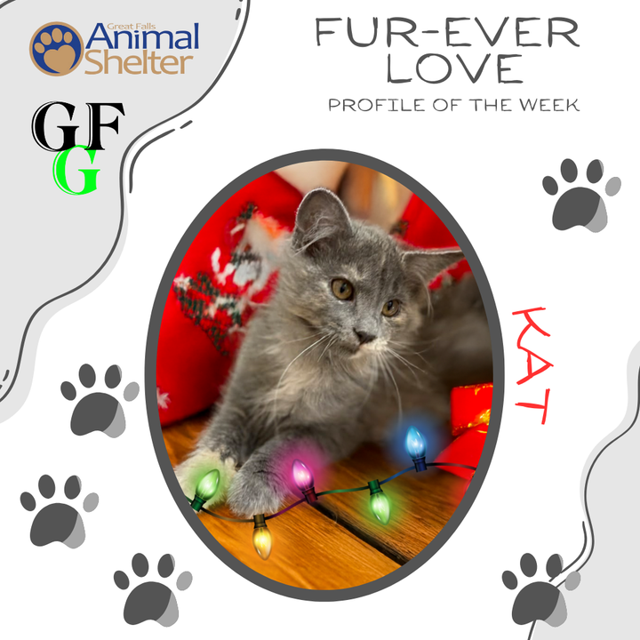 Fur-Ever Love - Kat