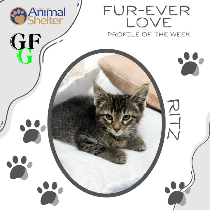 Fur-Ever Love - Ritz