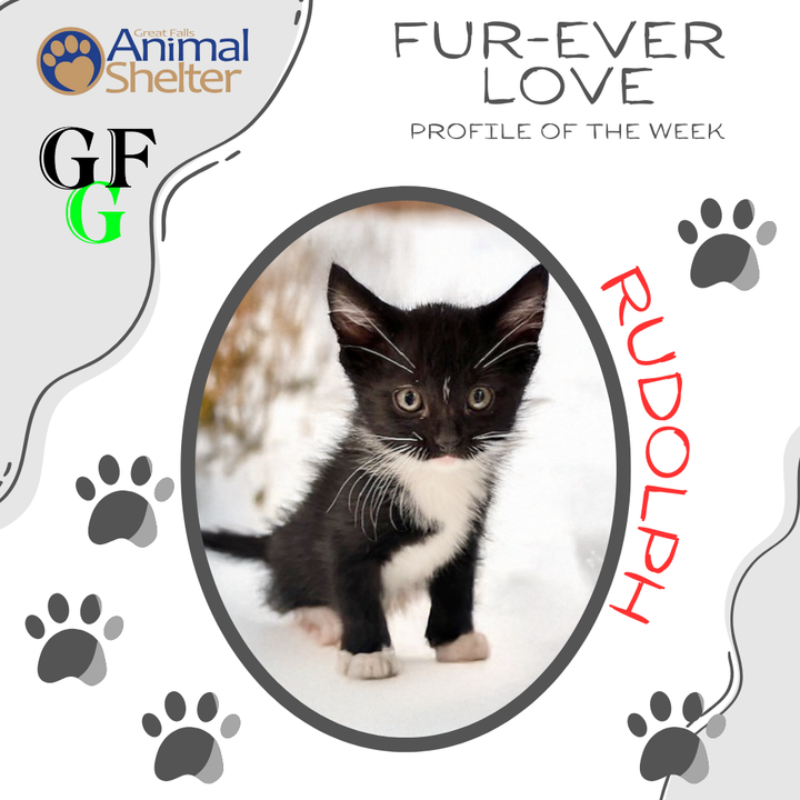 Fur-Ever Love - Rudolph