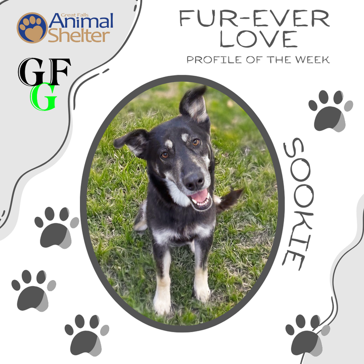 Fur-Ever Love - Sookie