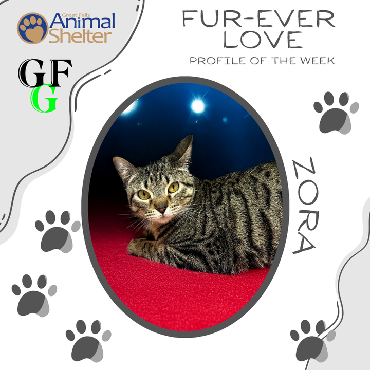 Fur-Ever Love - Zora