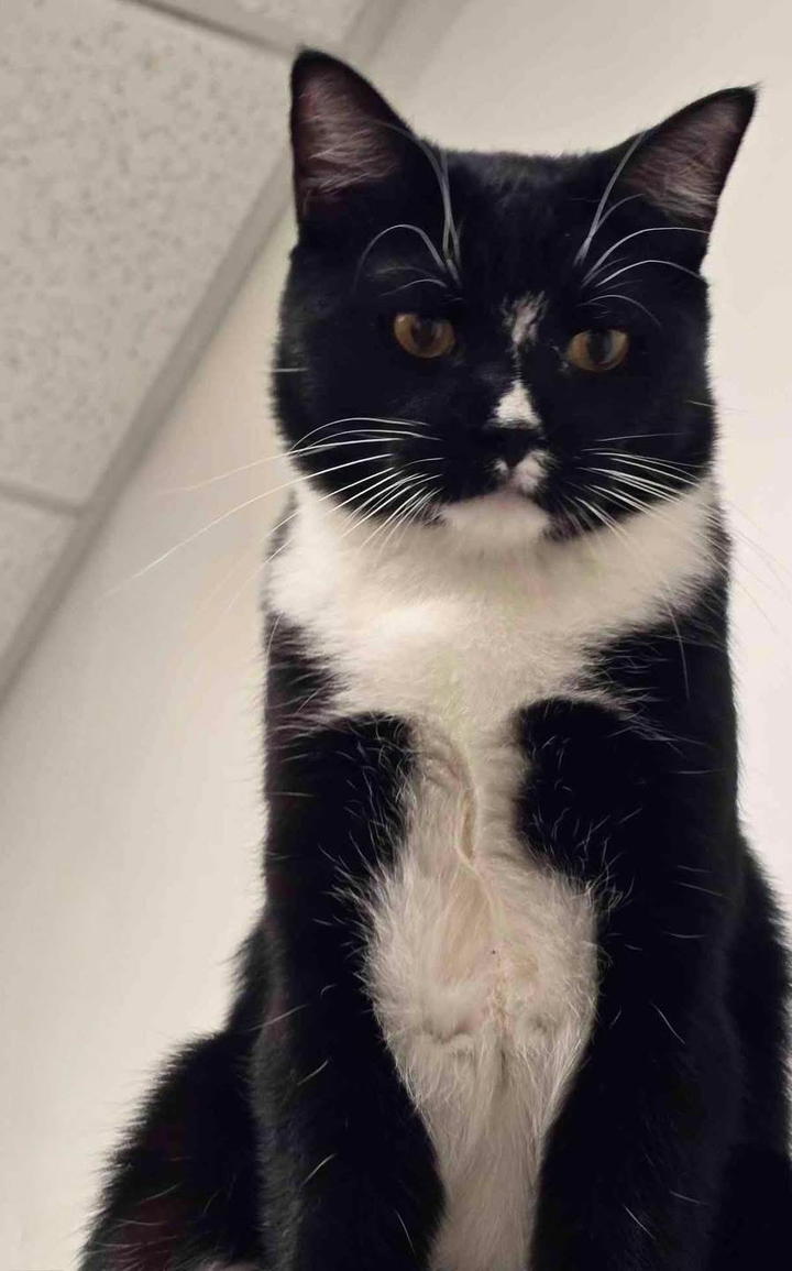 Pet Paw-See Animal Spotlight - Briar