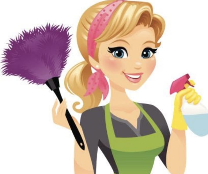Misses Clean Providing Cleaning Services For Great Falls
