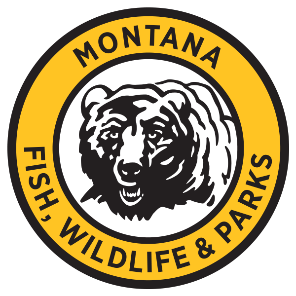 Grizzly Bear Euthanized Due to Cattle Depredation in Teton County