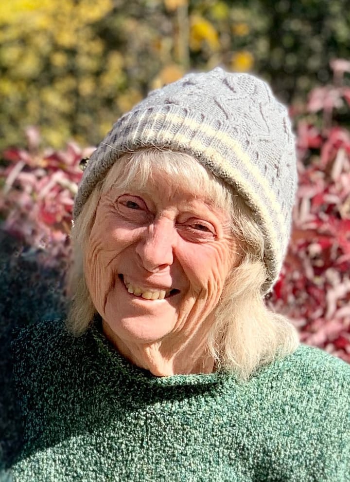 Obituary of Joyce Korin