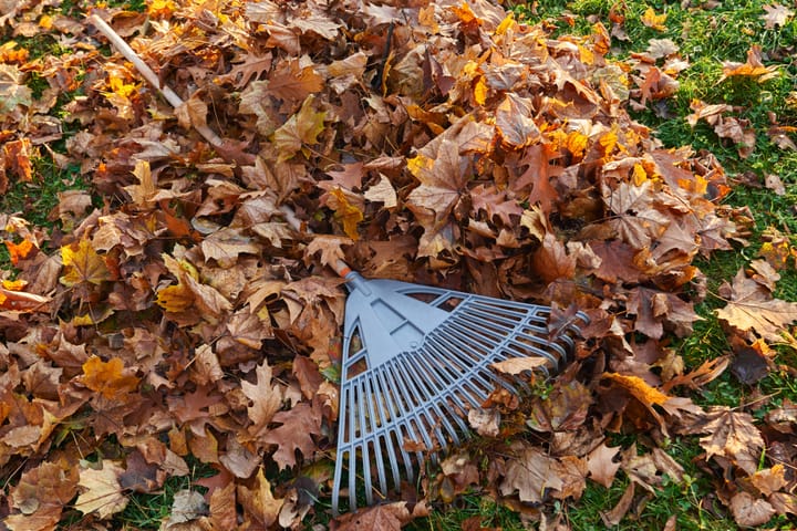 Second/Final Round: 2025 Annual Fall Leaf Pickup Program