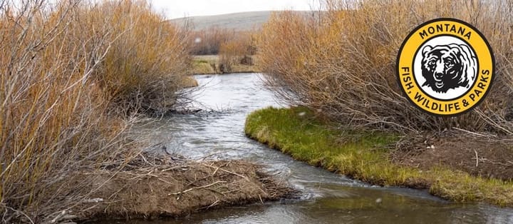 Fish and Wildlife Commission Approves Emergency Fishing Closure for Portion of Red Rock Creek