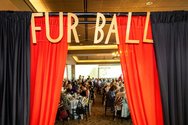 The 19th Annual Fur Ball to be Held August 17th