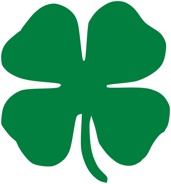 St. Patrick's Day Parade